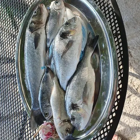 בית נופש Diny With Pool Pinezići