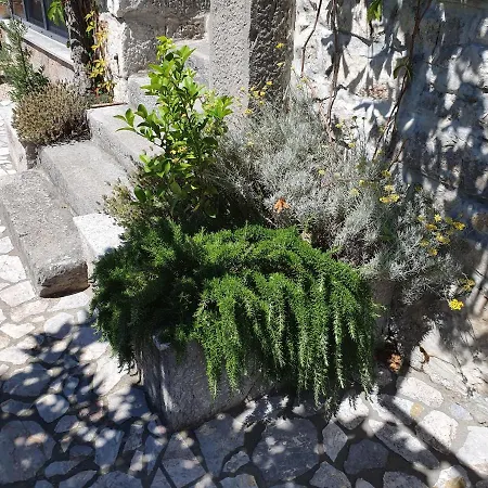 Diny With Pool Pinezići