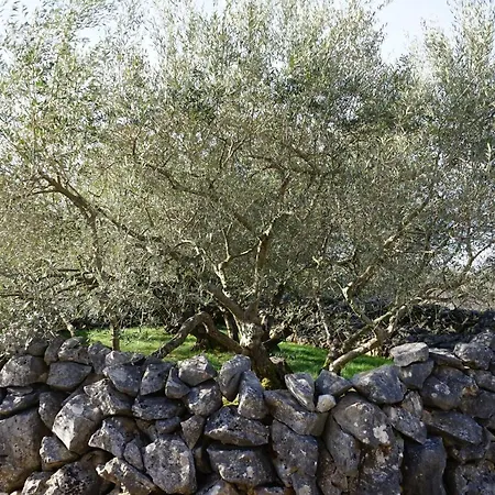 Vakantiehuis Diny With Pool