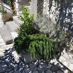 Diny With Pool Pinezići
