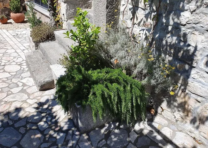 Diny With Pool Pinezići